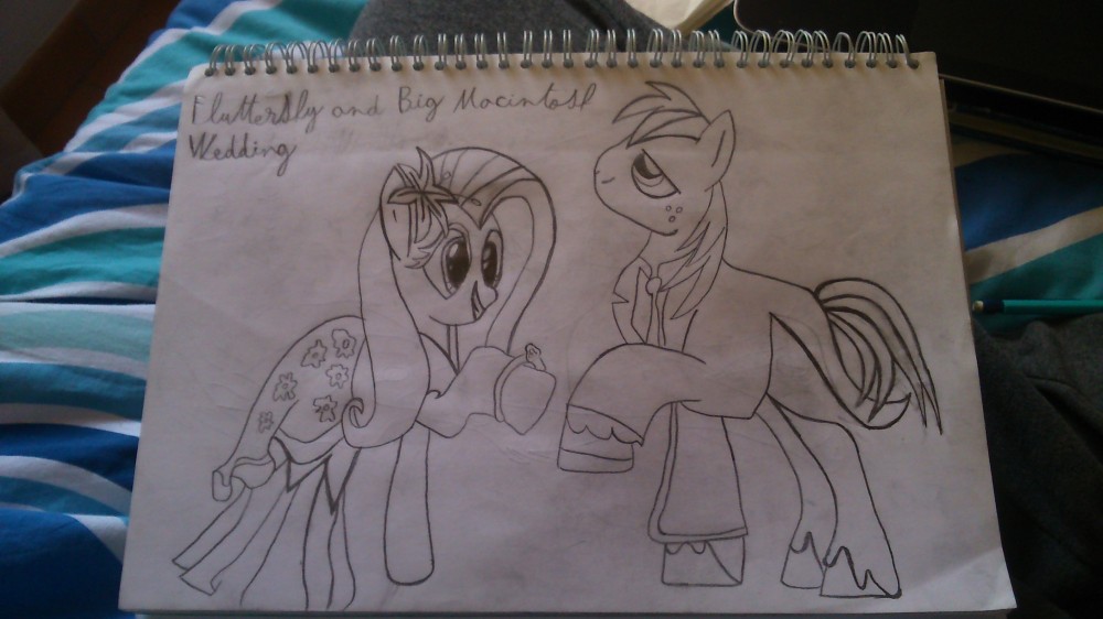 Mariage de Fluttershy et Big Macintosh