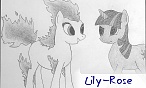 Lily-Rose
