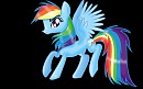 Rainbow Dursh