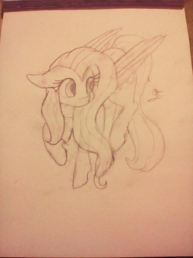 Un brouillon de Fluttershy
