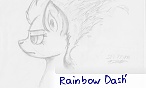Dash20
