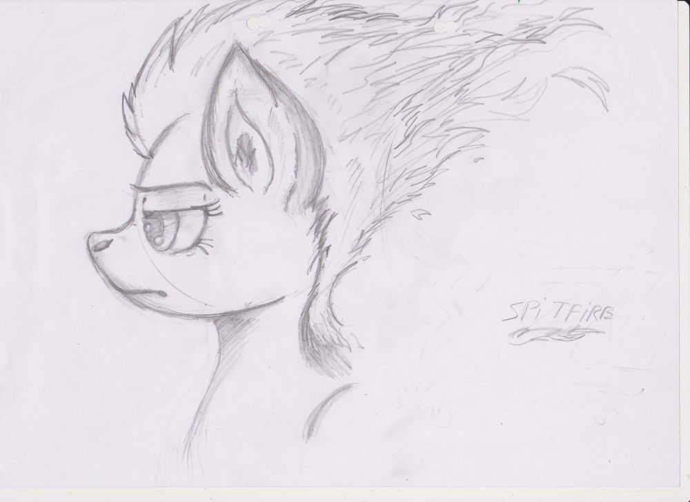 (Vieux Dessin) Spitfire profile.