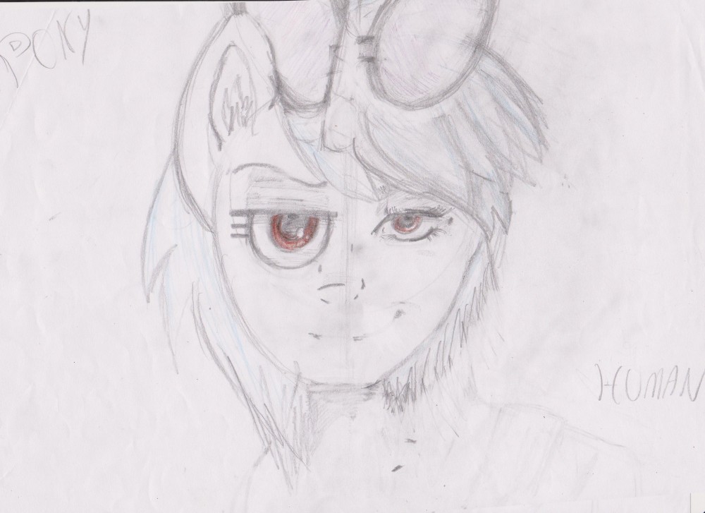 Pony/Human.