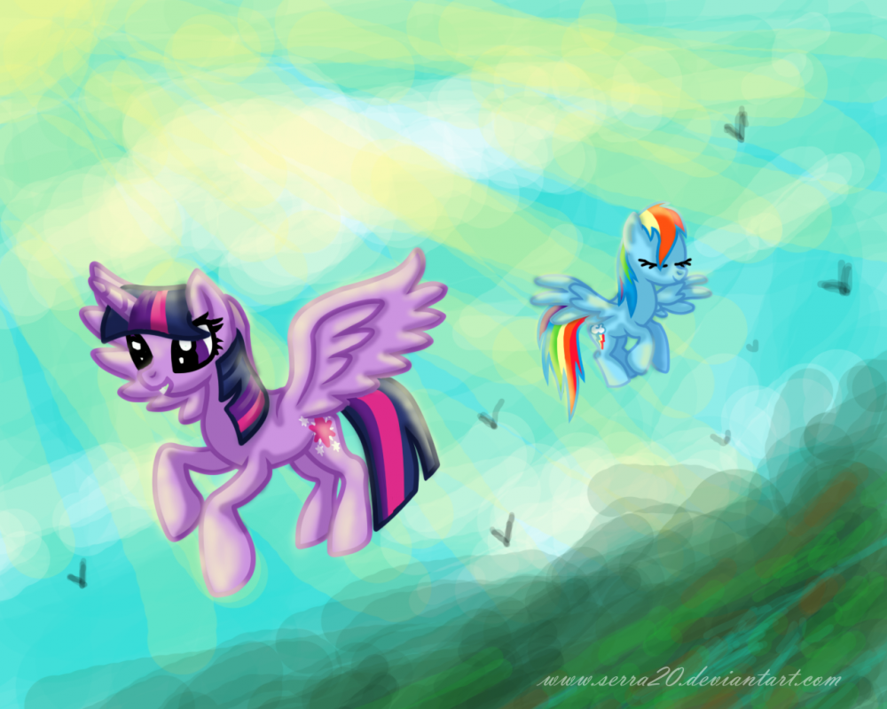 Enjoying the Flight