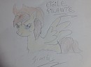 Étoile filante !