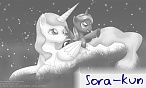 Sora-kun