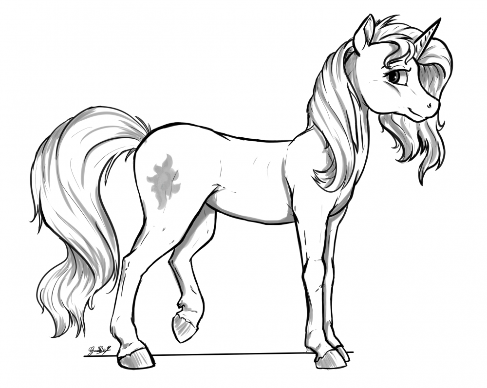 Sunset... cheval... chose... :/