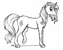 Sunset... cheval... chose... :/
