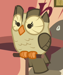 Detail Owlowiscious