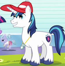 Detail Shining Armor