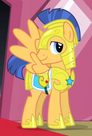 Detail Flash Sentry