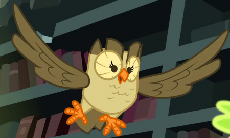 Detail Owlowiscious