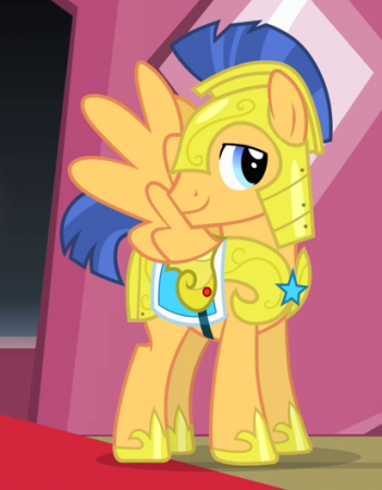 Detail Flash Sentry 