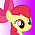 Apple Bloom