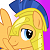 Flash Sentry