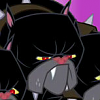 Cerberus