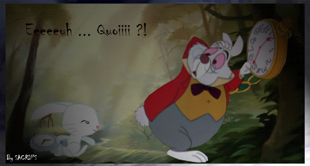 eeeeuh... QUOIII ?! 