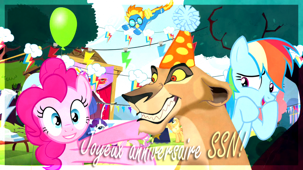 Joyeux anniversaire SSN!