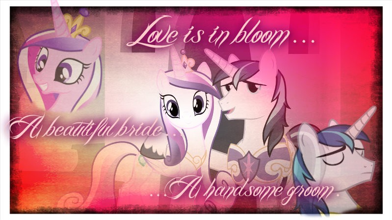 Love is in bloom