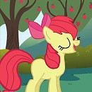 Apple Bloom
