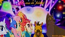 11ème anniversaire 