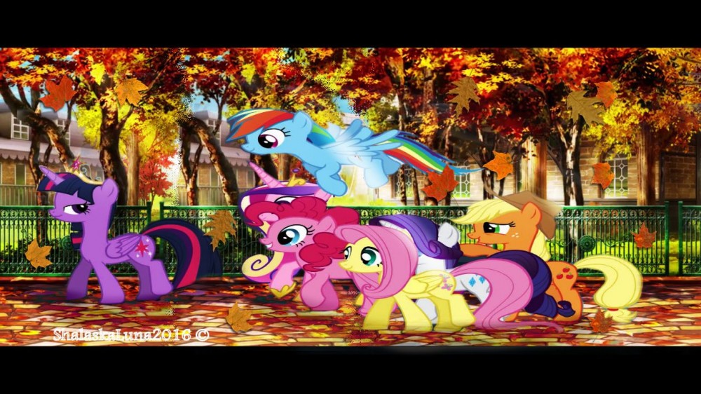 MLP autumn