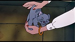 Oliver & Company picture