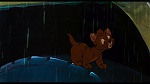 Image Oliver & Company