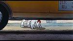 Oliver & Company picture