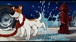 Image Oliver & Company