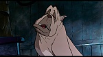 Oliver & Company picture
