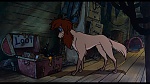 Image Oliver & Company