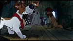 Oliver & Company picture