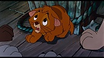 Image Oliver & Company