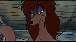 Image Oliver & Company