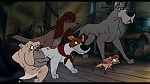 Oliver & Company picture