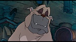 Image Oliver & Company