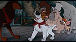 Image Oliver & Company