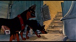 Oliver & Company picture