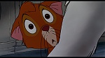 Image Oliver & Company