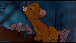Image Oliver & Company