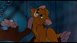 Image Oliver & Company