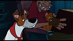 Image Oliver & Company