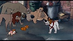 Oliver & Company picture