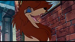 Image Oliver & Company