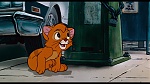 Image Oliver & Company