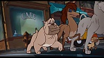 Image Oliver & Company
