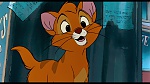 Image Oliver & Company