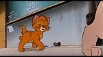 Image Oliver & Company
