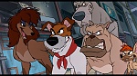 Oliver & Company picture